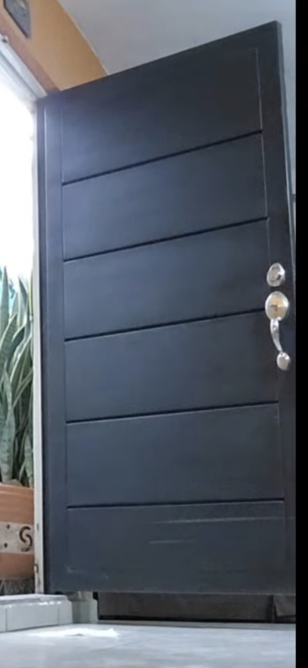 Modern Iron Door Entrance